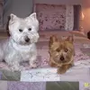 tracybundy681 - @tracybundy681 - TikTok