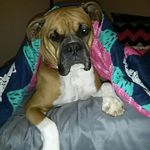 Tracy Burge - @tburge123 - Instagram