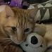 Tracy Burge - Facebook