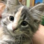 Tracy Burger - @tracyburger43 - Instagram