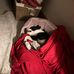 Tracy Burman - Facebook