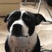 Tracy Burman - Facebook