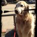 Tracy Burroughs - Facebook