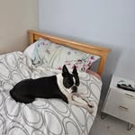 Tracy Burrows - @tracy.burrows.904 - Instagram