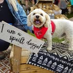Tracy Burrows - @tracy.burrows.549 - Instagram
