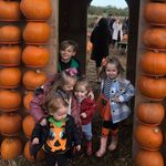My Days In Pictures - @tracy_butcher - Instagram