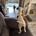 Traci Buxton - Facebook