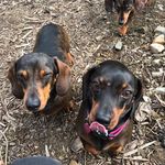 Tracy Byrne - @tracy.byrne.562 - Instagram