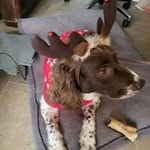 Tracy Fraser Byrne - @tracybyrne46 - Instagram