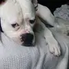 Tracy Anita Bates - @tracybyron1234 - TikTok