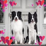 Tracy Cann - @tracy_cann - Instagram