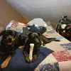 Tracy Cantu - @tracy.cantu - TikTok