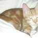 Tracey Carlile - Facebook
