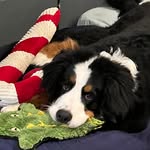 Tracy Caswell - @tlc602 - Instagram