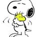 Tracy Chaffee - Facebook
