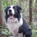 Tracey Chaplin - Facebook