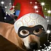 Tracy Chaplin282 - @tracychaplinbooboo - TikTok