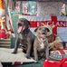 Tracy Chaplin - Facebook