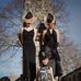 Tracy Chaplin Millinery - Facebook