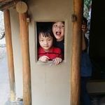 Tracy Chew - @tracychew8603 - Instagram
