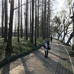 Tracy Chew - @tracy.chew.144 - Instagram