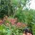 Tracy Ching - Facebook