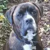 Tracy Hutchings - @tracyhutchings1 - TikTok