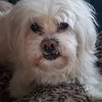 Tracy Clapp - @tracy.clapp.3 - Instagram