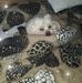 Tracy Clapp - Facebook