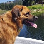 Tracey Clevenger - @traceyclevenger - Instagram