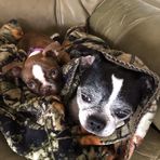 Tracy Clevenger - Facebook