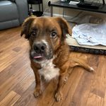 Tracy Raby Clevenger - @just_tracy76 - Instagram