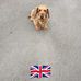 Tracey Clift - Facebook