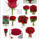 TracyAndre flower Tradings@ +27699554707 - @tracyandreflowert - Instagram