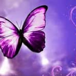 Traci Brown Clugston - Facebook
