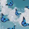Tracy Cobbs - @tracycobbs_1086 - TikTok