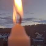 Tracy Collett - @tcoll8 - Instagram