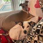 Tracy N Catherine Collett - @tracy.collett - Instagram