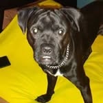 Tracy Collier - @tracy.collier.7186 - Instagram