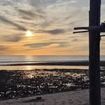 Tracie L Covey Borchard - @traciecoveyborchard - Instagram