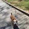 Tracy Lynn Criss Swartz - @tracy.lynn.criss - TikTok