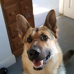 Tracy Croft - @tracy.croft17 - Instagram