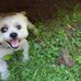 Tracy Cronin - Facebook