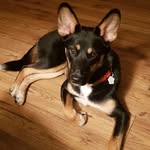 Tracy Cronkright - @tracycronkright - Instagram