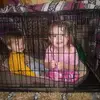 tracycronk363 - @tracycronk363 - TikTok