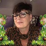 Tracey Culbert - @traceyculbert - Instagram