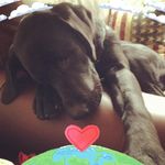 Tracy Culbert - @tracy_culbert - Instagram