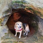 Tracy Culbertson - @tracyculbertson - Instagram