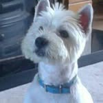 Tracy Cummins Hyland - @cumminshyland - Instagram