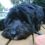 Tracey Cusick - @cusicktracey - Instagram